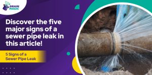 5 Signs of a Sewer Pipe Leak