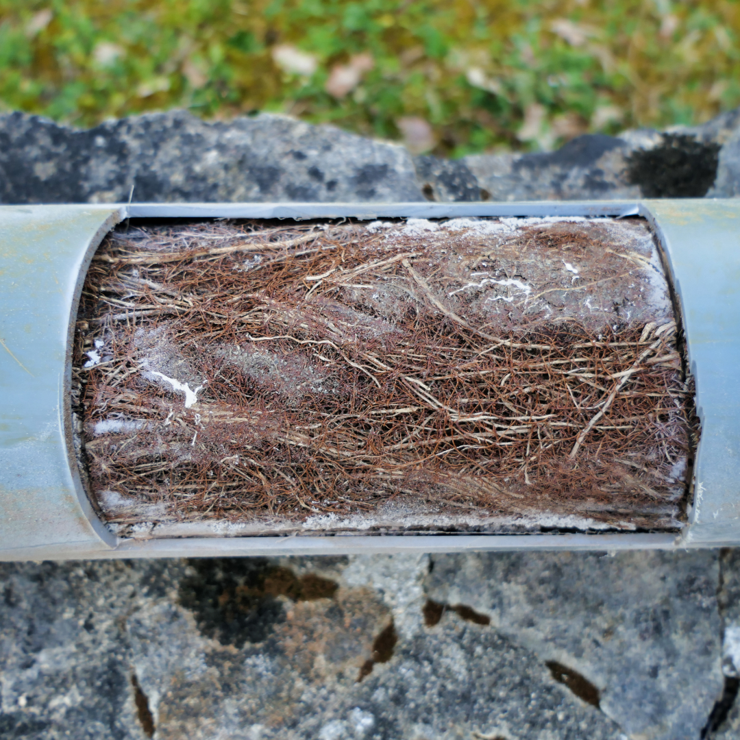 Sewer Camera Inspection: What To Expect