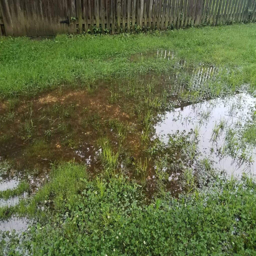 5 Signs of a Sewer Pipe Leak