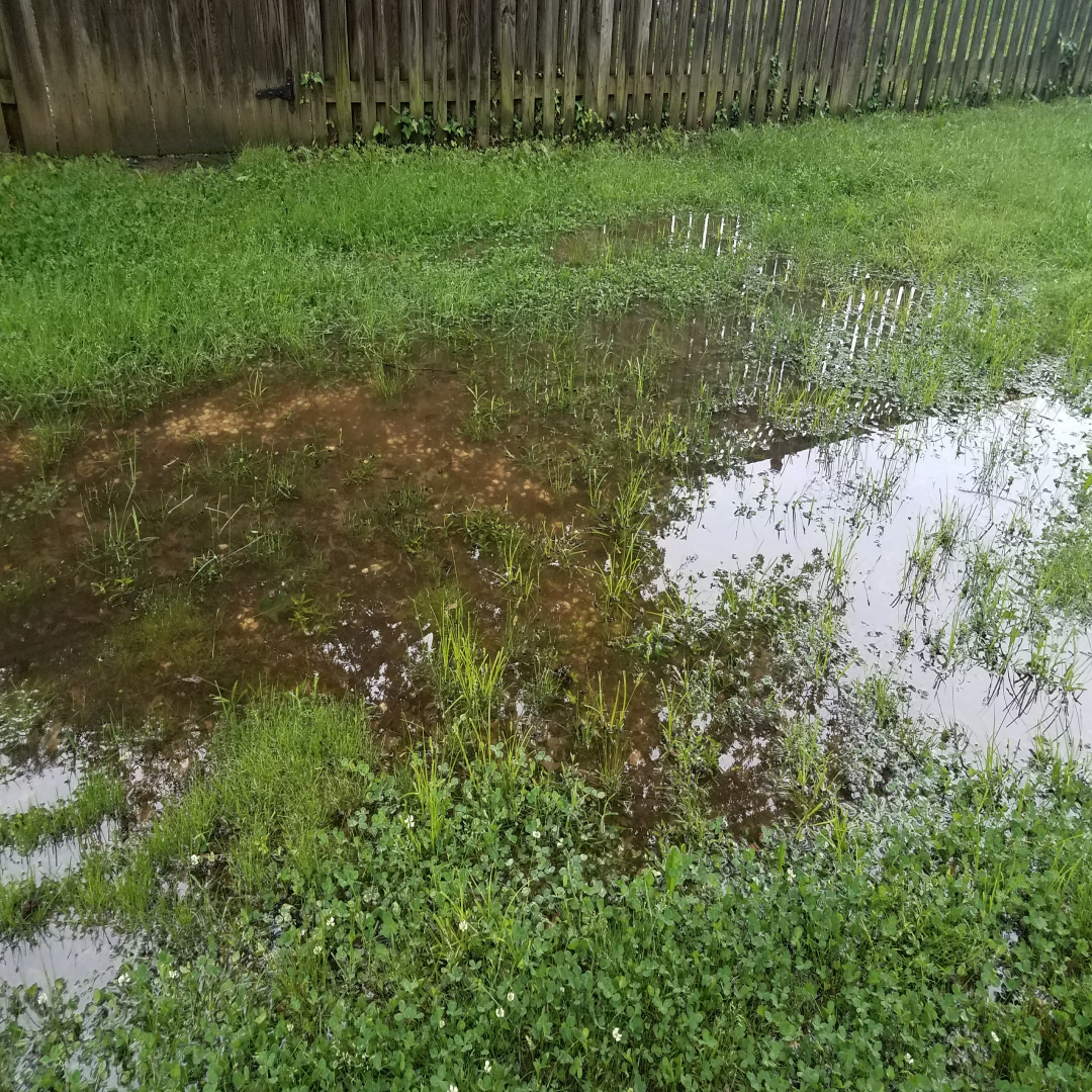 5 Signs of a Sewer Pipe Leak